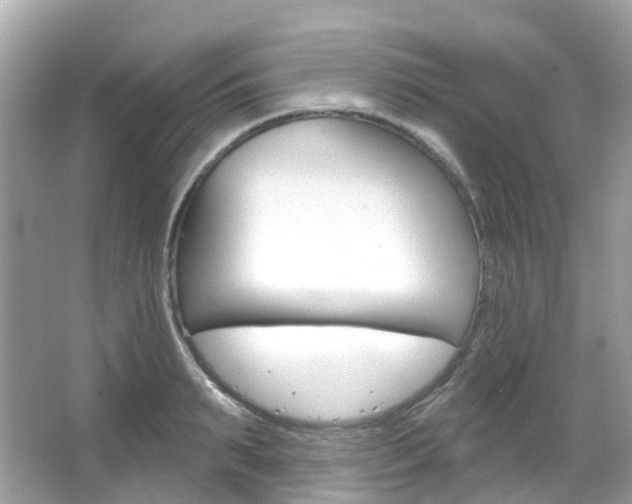 X0000066090895200603101000