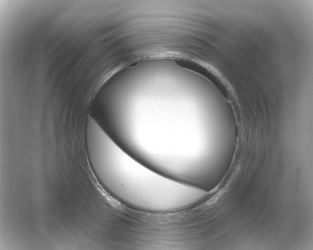 X0000066090897200603101000