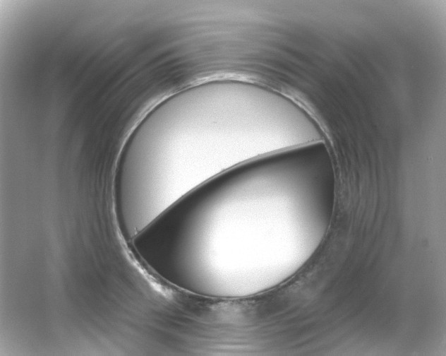 X0000066090898200603101000