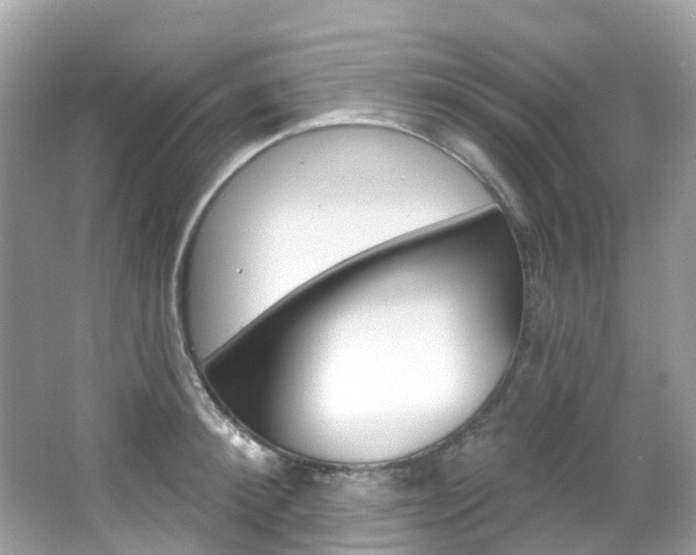 X0000066090900200603101000