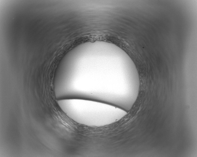 X0000066090913200603100959