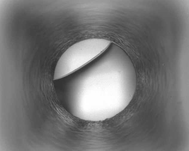 X0000066090914200603100959