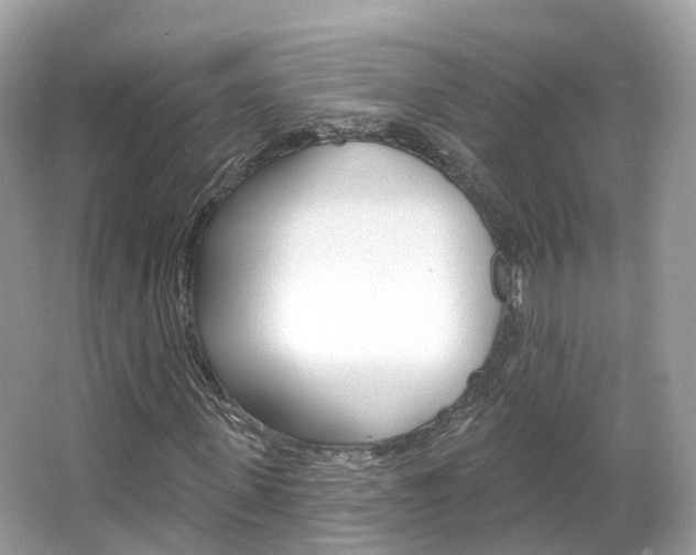 X0000066090915200603100959