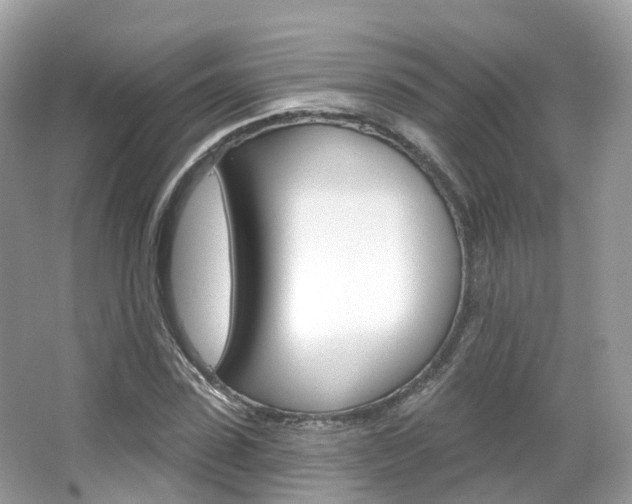 X0000066090923200603100959