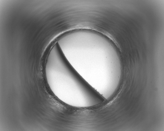 X0000066090926200603100959