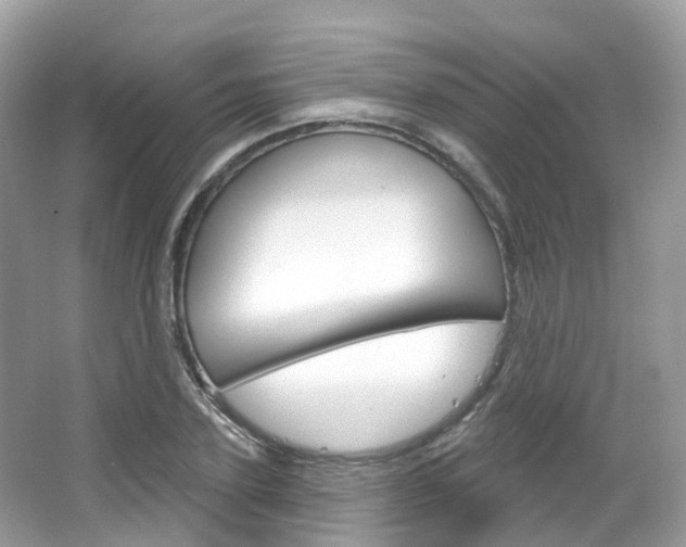 X0000066090931200603100959