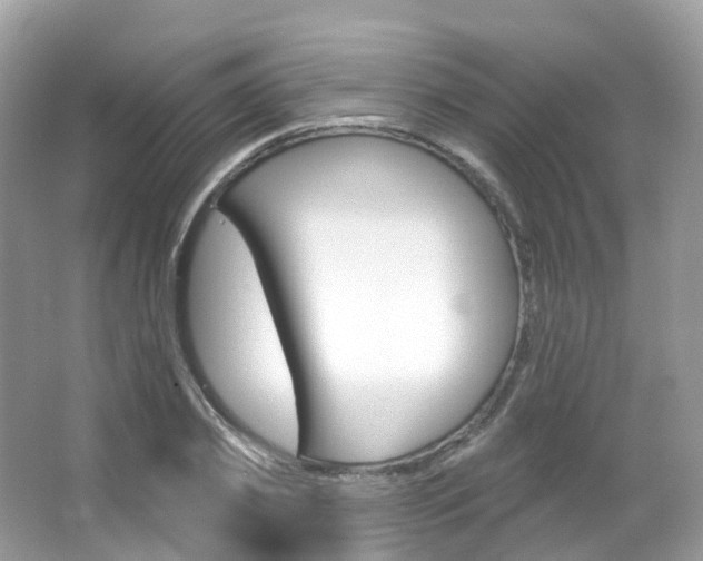 X0000066090933200603100959