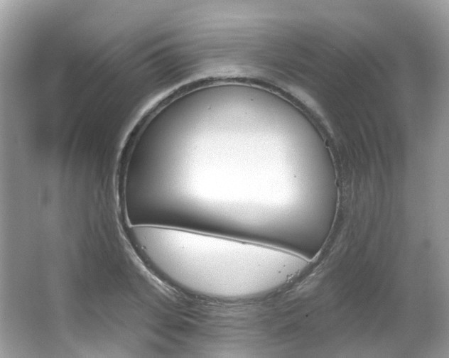 X0000066090935200603100959