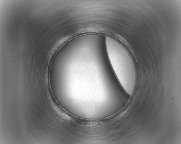 X0000066090938200603100959