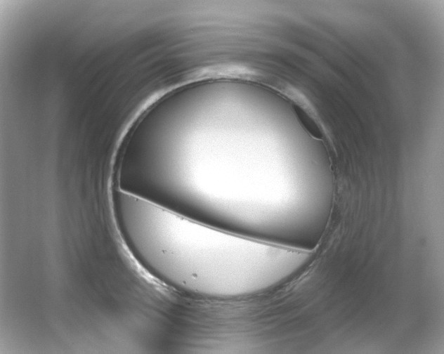 X0000066090947200603100959