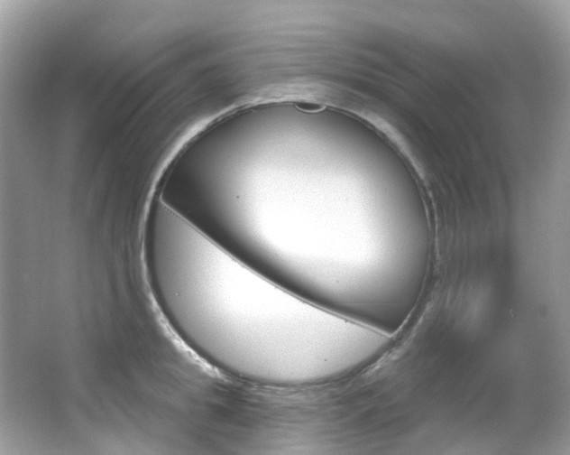 X0000066090949200603100959