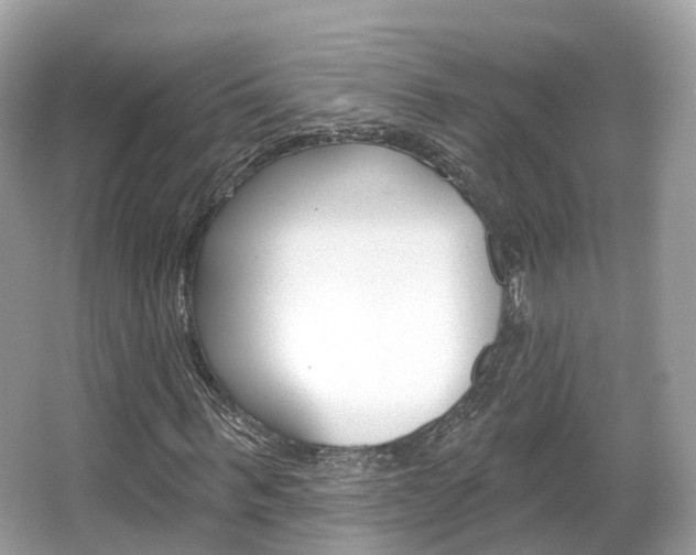X0000066090963200603100959
