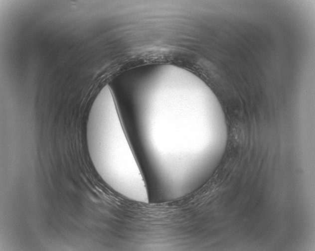 X0000066090964200603100959