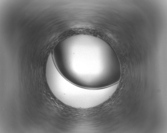 X0000066090965200603100959