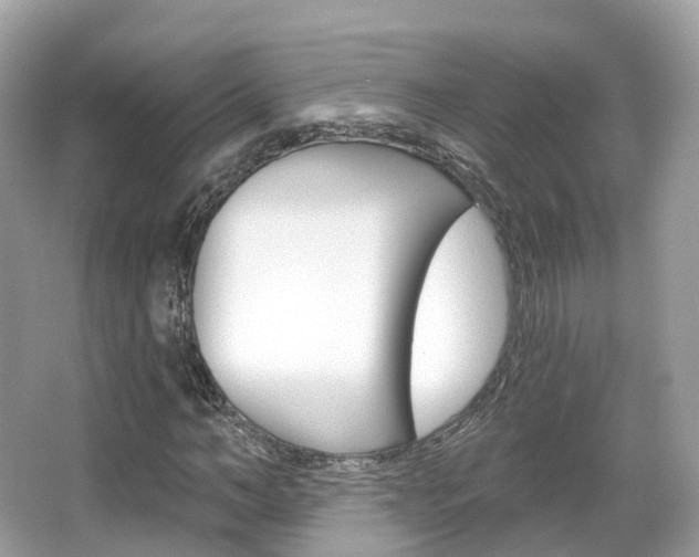 X0000066090966200603100959