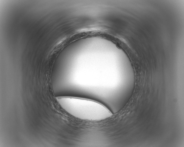 X0000066090967200603100959