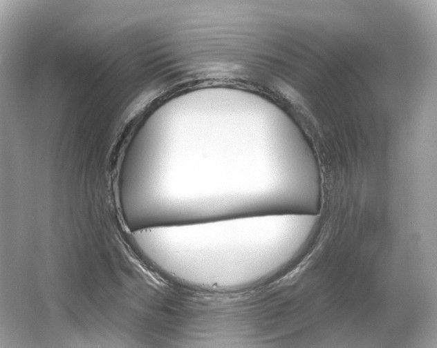 X0000066090970200603100959
