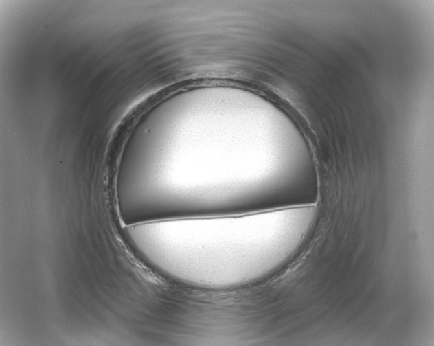 X0000066090971200603100959