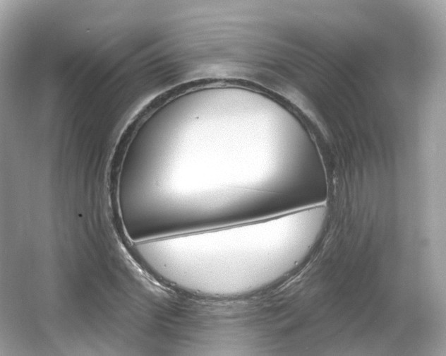 X0000066090972200603100959
