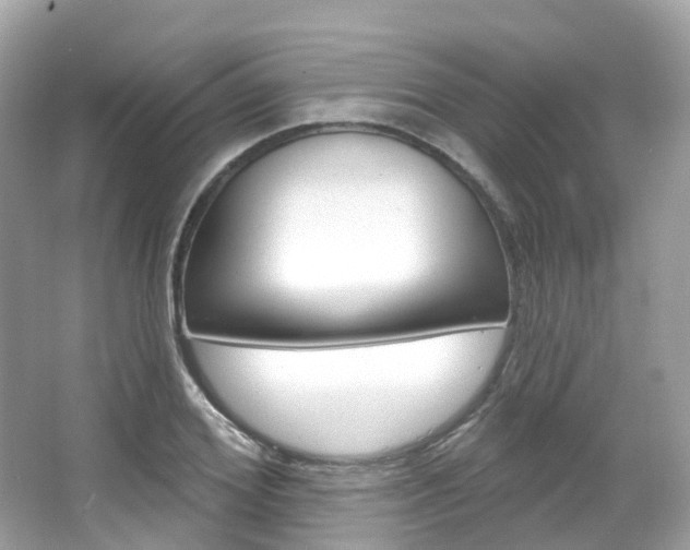X0000066090980200603100958