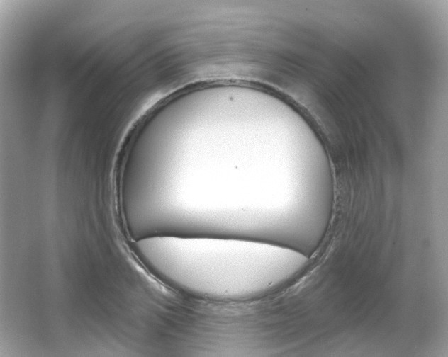 X0000066090982200603100958