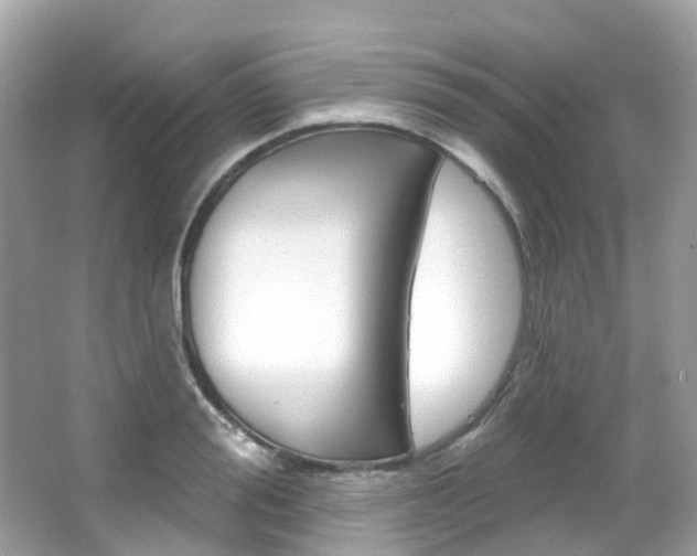 X0000066090988200603100958