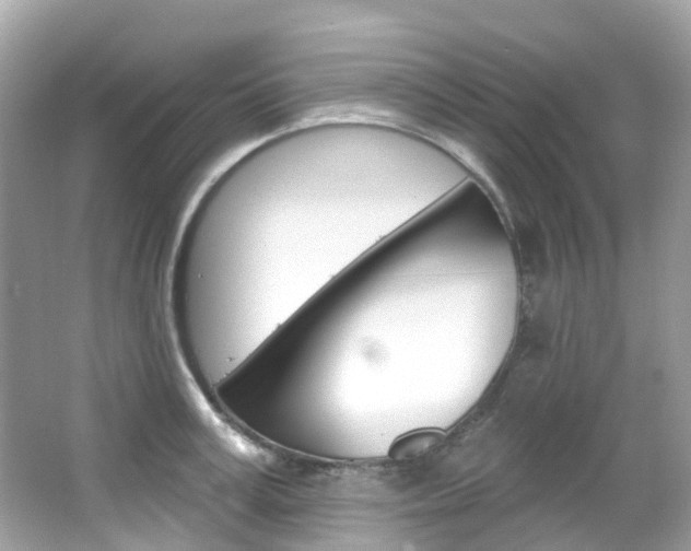 X0000066090995200603100958