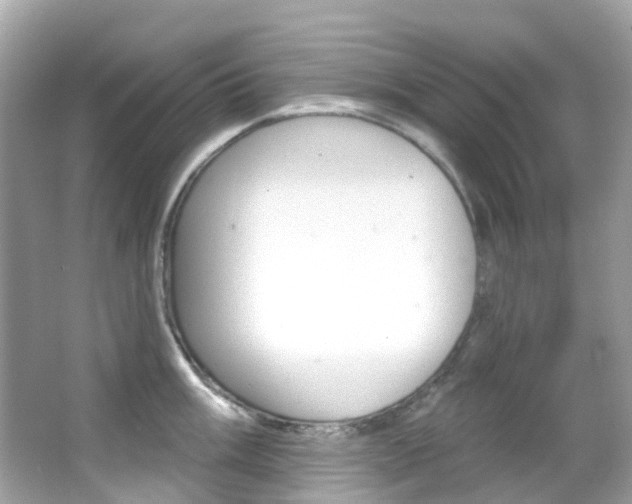 X0000066091003200603100958