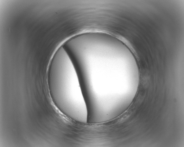 X0000066091004200603100958