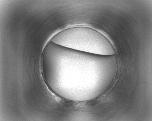 X0000066091006200603100958