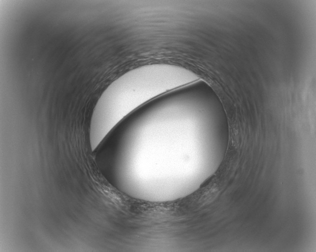 X0000066091010200603100957