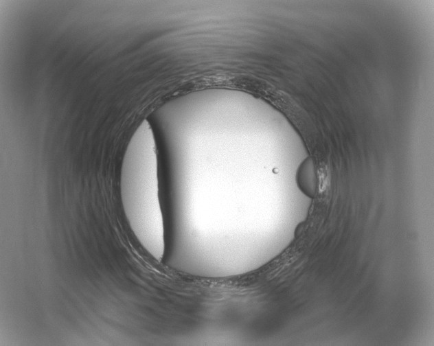 X0000066091011200603100957