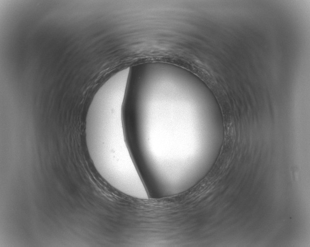 X0000066091012200603100957