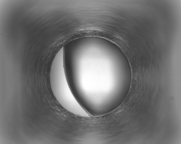 X0000066091014200603100957