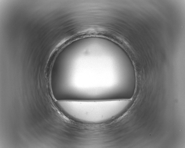 X0000066091018200603100957
