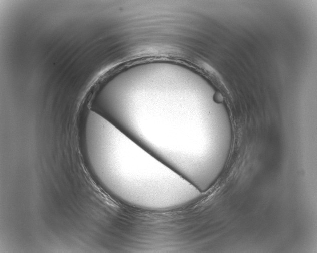 X0000066091019200603100957