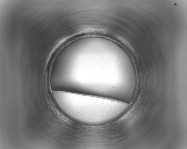 X0000066091021200603100957