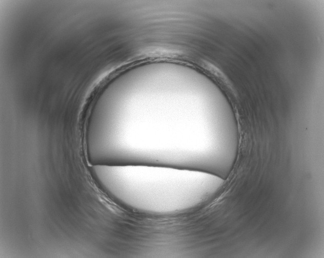 X0000066091027200603100958
