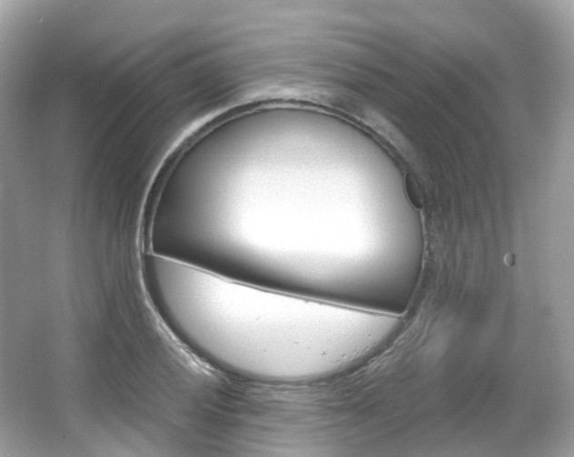 X0000066091028200603100958