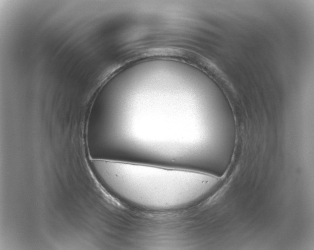 X0000066091033200603100958