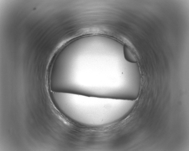 X0000066091035200603100958