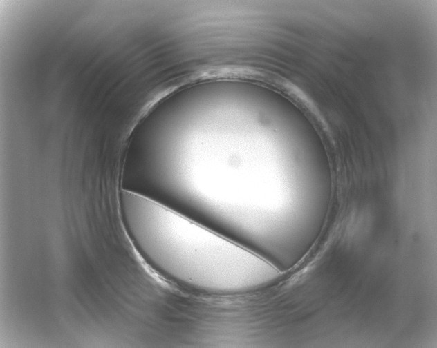 X0000066091041200603100958