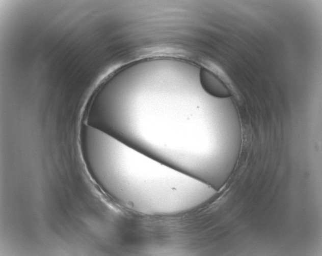 X0000066091043200603100958