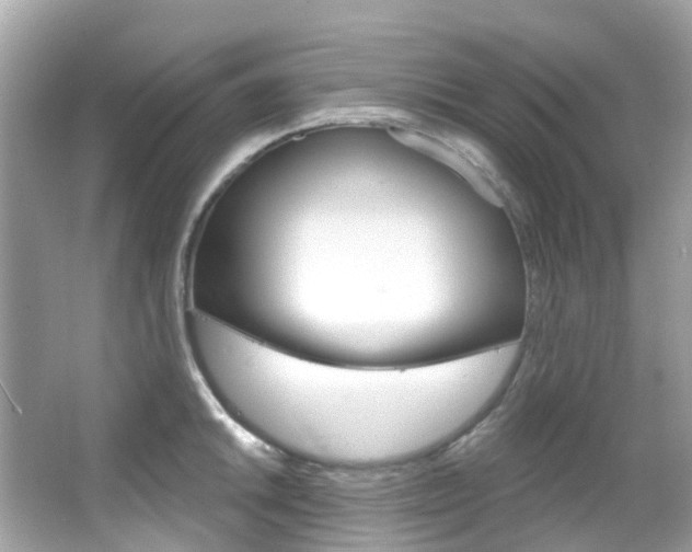 X0000066091046200603100958