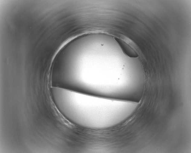 X0000066091052200603100958