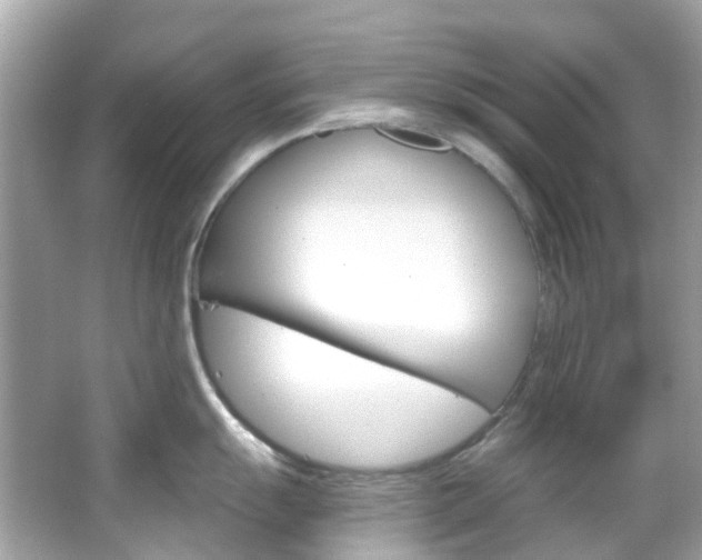X0000066091055200603100958