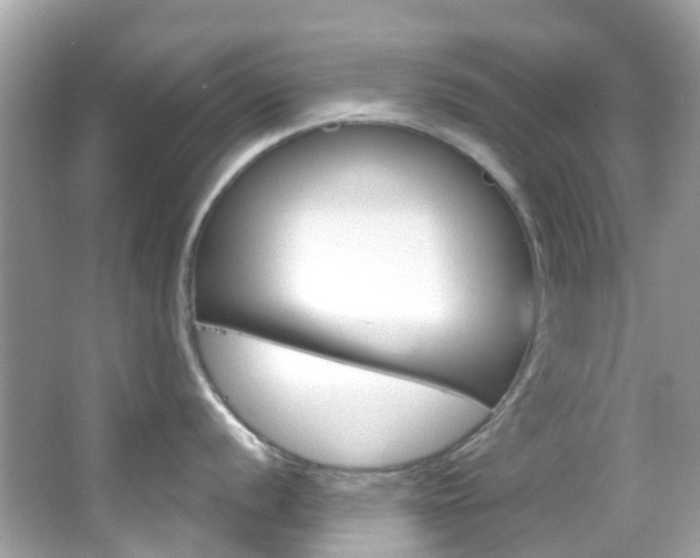 X0000066091056200603100958