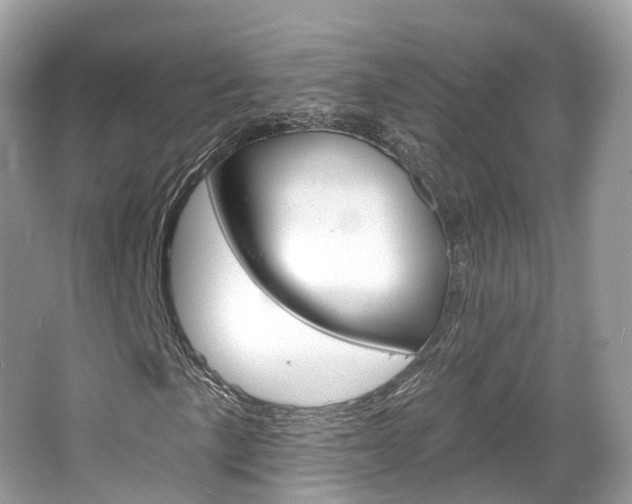 X0000066091057200603100957