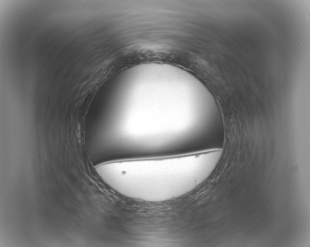 X0000066091061200603100957