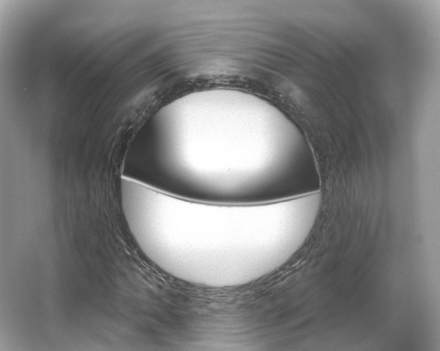 X0000066091062200603100957